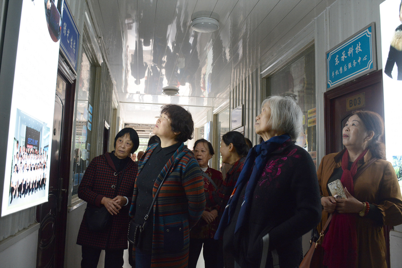 1539910296817021333.jpg DSC_5577.jpg