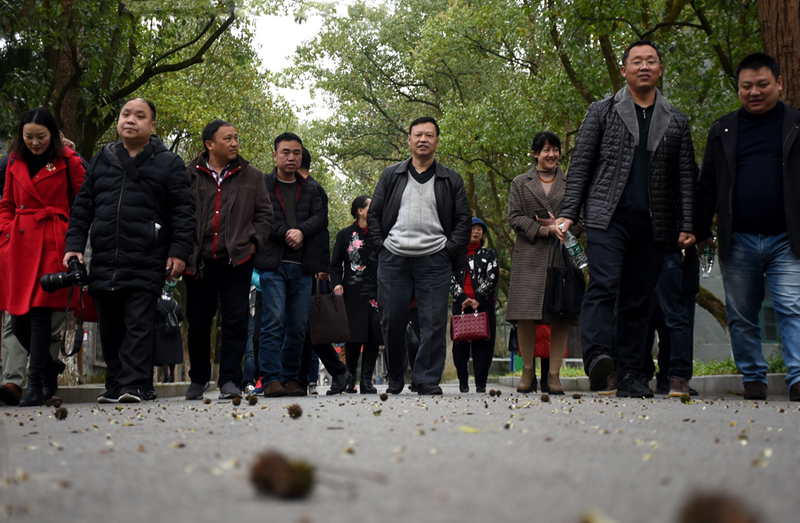 1552900056943061933.jpg DSC_1863.jpg