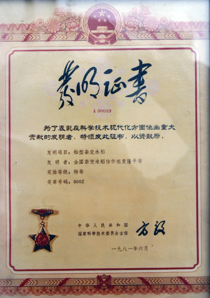 1572922168103040960.jpg 杂交水稻获国家特等发明奖.jpg