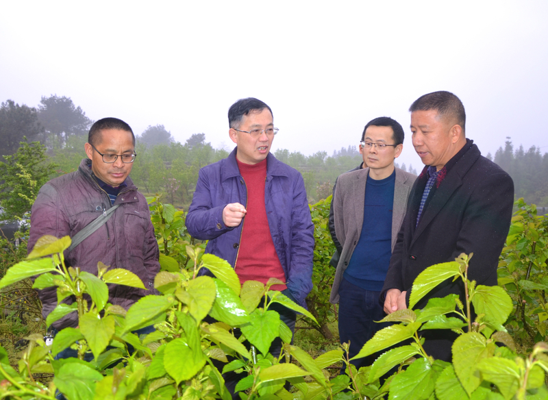 1586271892566065156.jpg DSC_0015.jpg