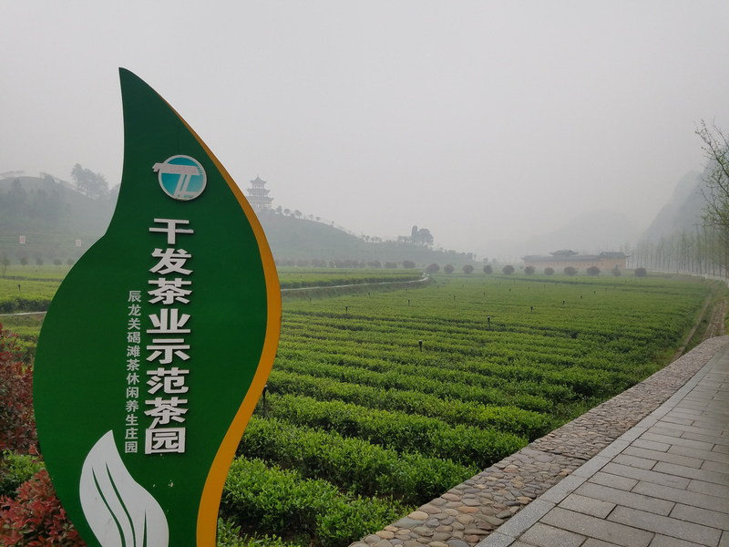 1587700523848017126.jpg 图5.jpg