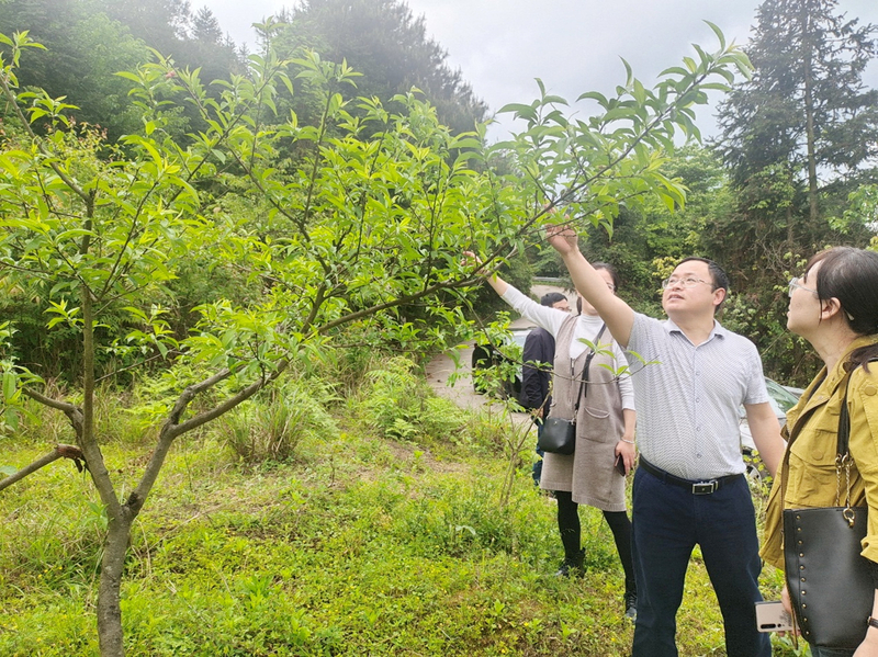 1650869575630097674.jpg 图片3.jpg