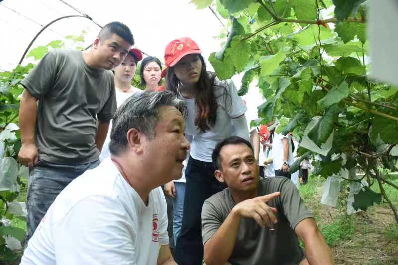 1657108303402062367.jpg 微信图片_20220706195022.jpg