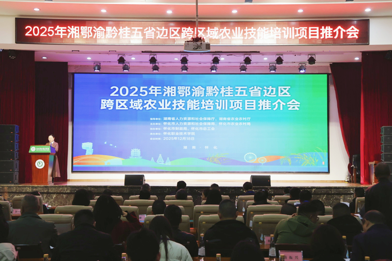 1766112854027002325.jpg 1.jpg